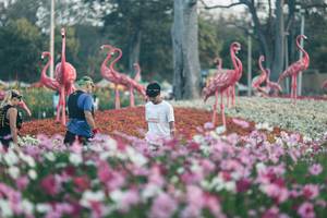 BIB: 
                            <button type="button" onclick="openModal(27344003)" class="btn btn-primary btn-sm float-right btn-popup" data-toggle="modal" data-target=".modal-high-quality">
                        <i class="fas fa-shopping-cart"></i> Add to Cart
                    </button>
                                            <button type="button" onclick="isThisMe(27344003, true)" class="btn btn-success btn-sm float-right btn-popup btn-isme hidden" data-toggle="tooltip" data-placement="bottom" title="นี่คือรูปของคุณใช่ไหม คลิกที่นี่เพื่อเอาเข้าอัลบั้ม">
                        <i class="fas fa-plus"></i> Add to album
                    </button>
                    <button type="button" onclick="isThisMe(27344003, false)" class="btn btn-warning btn-sm float-right btn-popup btn-isnotme hidden">
                        <i class="fas fa-ban"></i> Remove from album
                    </button>